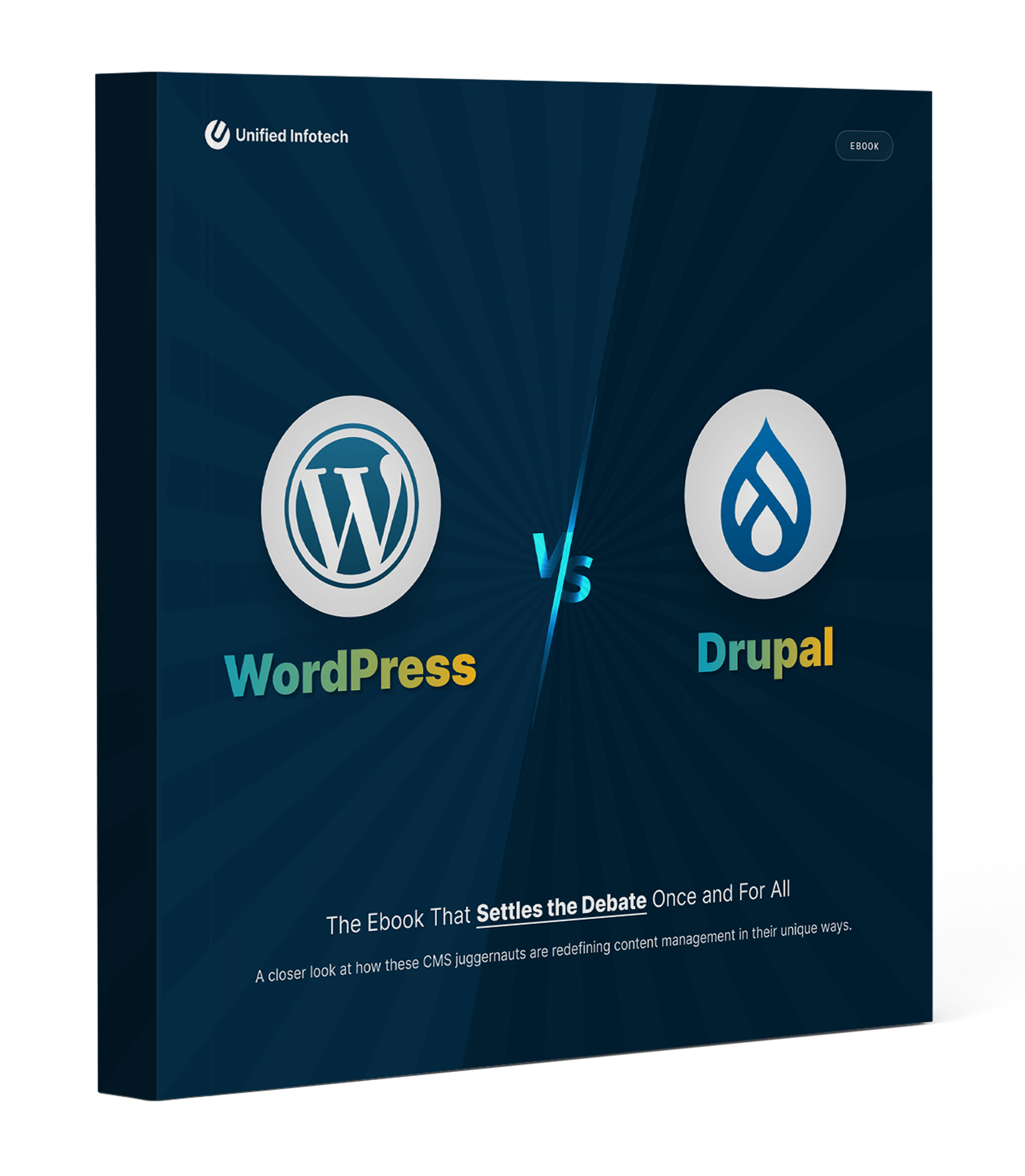 WORDPRESS VS DRUPAL IN 2025 cover